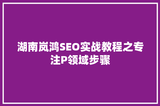 湖南岚鸿SEO实战教程之专注P领域步骤
