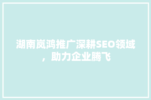 湖南岚鸿推广深耕SEO领域，助力企业腾飞