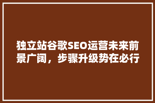 独立站谷歌SEO运营未来前景广阔，步骤升级势在必行