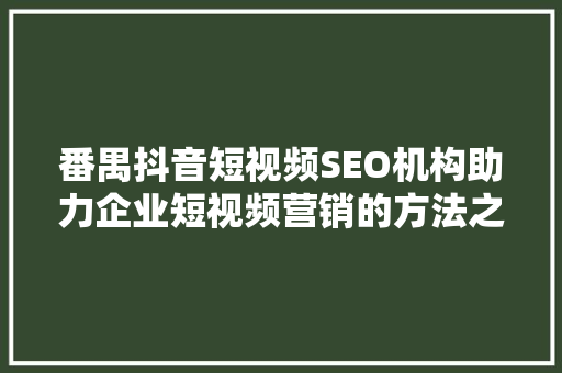 番禺抖音短视频SEO机构助力企业短视频营销的方法之路
