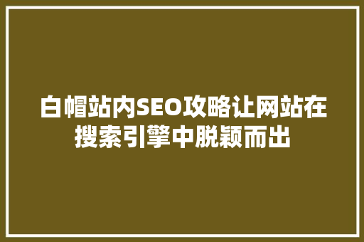 白帽站内SEO攻略让网站在搜索引擎中脱颖而出
