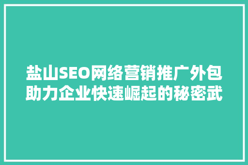 盐山SEO网络营销推广外包助力企业快速崛起的秘密武器