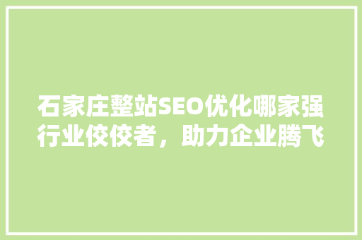 石家庄整站SEO优化哪家强行业佼佼者，助力企业腾飞