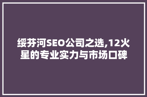 绥芬河SEO公司之选,12火星的专业实力与市场口碑