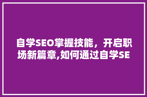 自学SEO掌握技能，开启职场新篇章,如何通过自学SEO找到理想工作