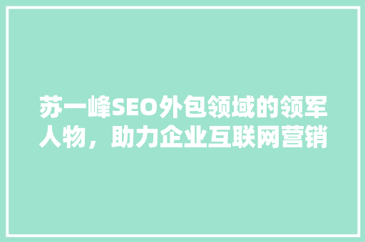 苏一峰SEO外包领域的领军人物，助力企业互联网营销新突破