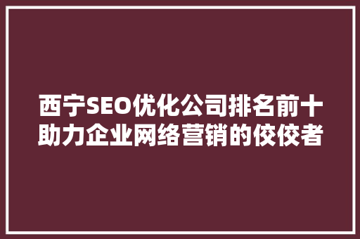 西宁SEO优化公司排名前十助力企业网络营销的佼佼者