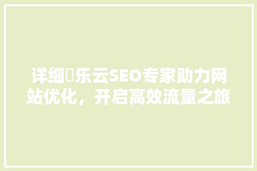 详细乚乐云SEO专家助力网站优化，开启高效流量之旅
