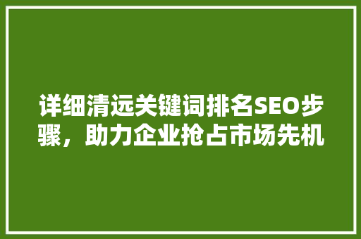 详细清远关键词排名SEO步骤，助力企业抢占市场先机