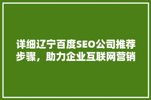 详细辽宁百度SEO公司推荐步骤，助力企业互联网营销腾飞