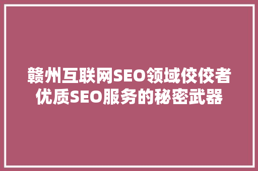 赣州互联网SEO领域佼佼者优质SEO服务的秘密武器