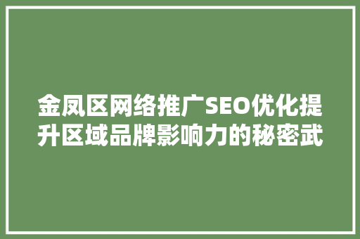 金凤区网络推广SEO优化提升区域品牌影响力的秘密武器