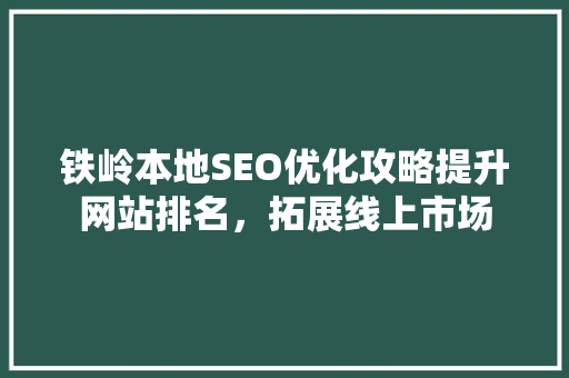 铁岭本地SEO优化攻略提升网站排名，拓展线上市场