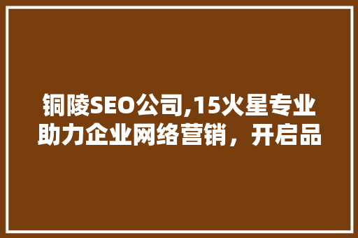铜陵SEO公司,15火星专业助力企业网络营销，开启品牌新篇章