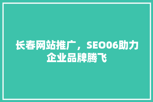长春网站推广，SEO06助力企业品牌腾飞