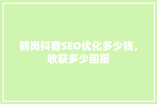 鹤岗抖音SEO优化多少钱，收获多少回报