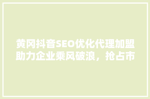 黄冈抖音SEO优化代理加盟助力企业乘风破浪，抢占市场先机  第1张