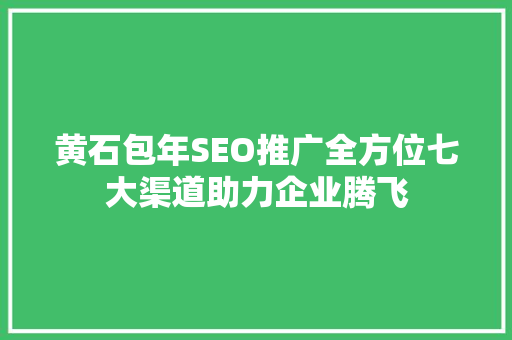 黄石包年SEO推广全方位七大渠道助力企业腾飞