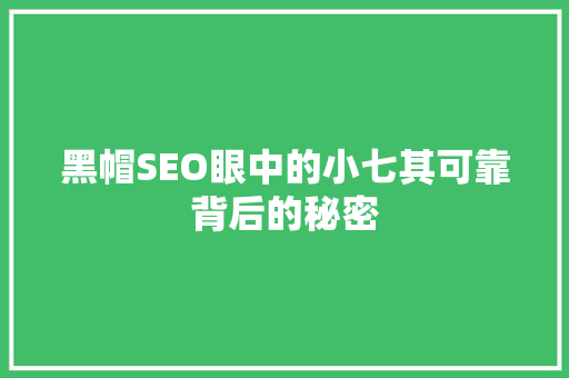 黑帽SEO眼中的小七其可靠背后的秘密