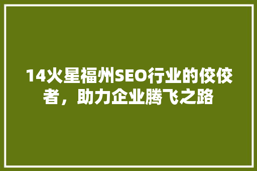 14火星福州SEO行业的佼佼者，助力企业腾飞之路