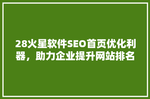 28火星软件SEO首页优化利器，助力企业提升网站排名