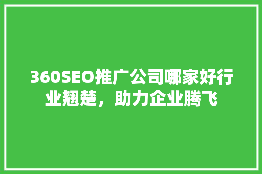 360SEO推广公司哪家好行业翘楚，助力企业腾飞