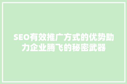 SEO有效推广方式的优势助力企业腾飞的秘密武器