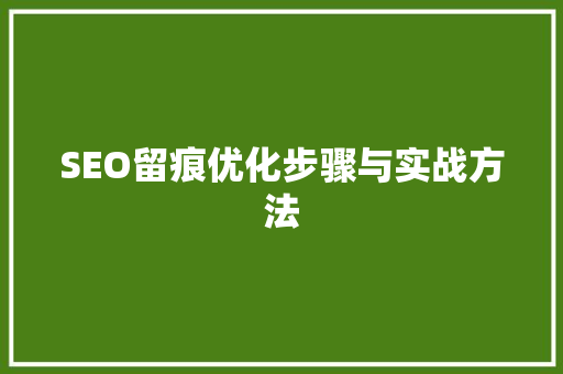 SEO留痕优化步骤与实战方法