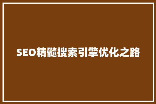 SEO精髓搜索引擎优化之路