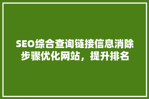 SEO综合查询链接信息消除步骤优化网站，提升排名  第1张