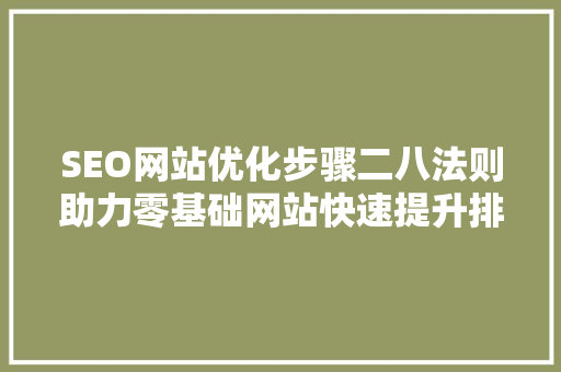 SEO网站优化步骤二八法则助力零基础网站快速提升排名