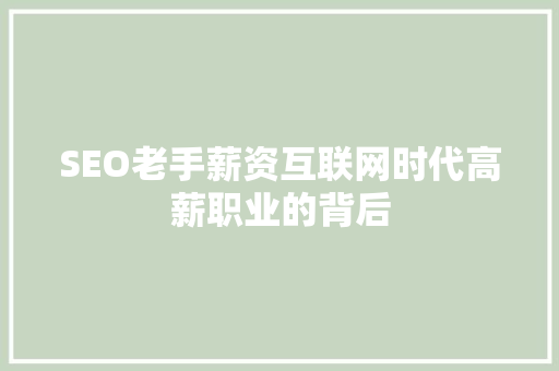 SEO老手薪资互联网时代高薪职业的背后