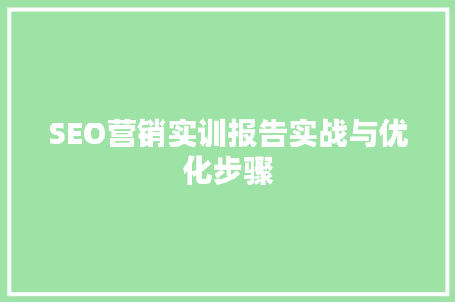 SEO营销实训报告实战与优化步骤