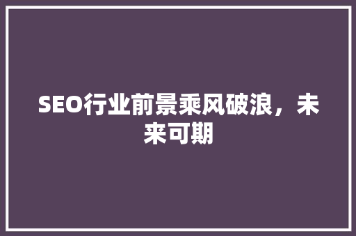 SEO行业前景乘风破浪，未来可期