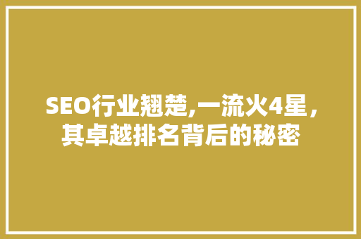 SEO行业翘楚,一流火4星，其卓越排名背后的秘密