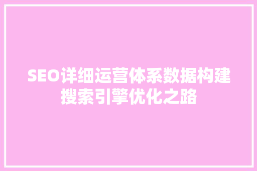 SEO详细运营体系数据构建搜索引擎优化之路