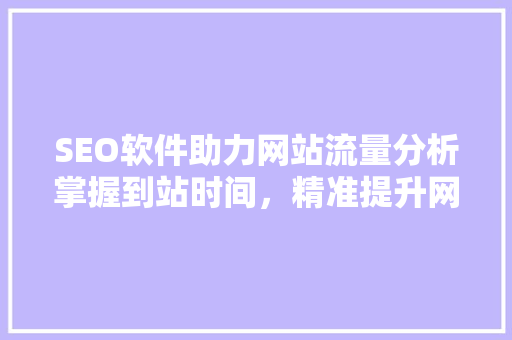 SEO软件助力网站流量分析掌握到站时间，精准提升网站排名