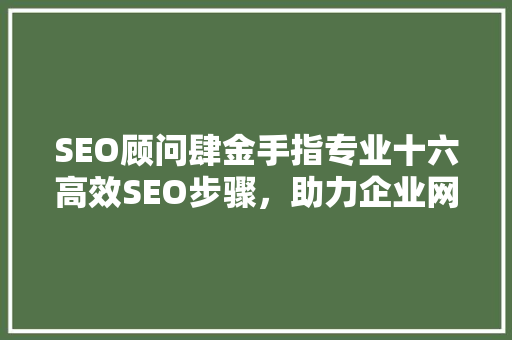SEO顾问肆金手指专业十六高效SEO步骤，助力企业网站优化