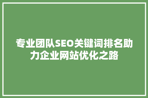 专业团队SEO关键词排名助力企业网站优化之路