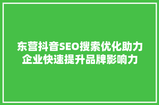 东营抖音SEO搜索优化助力企业快速提升品牌影响力