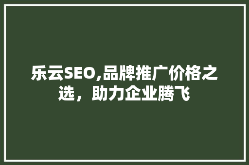 乐云SEO,品牌推广价格之选，助力企业腾飞