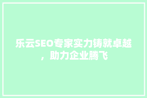 乐云SEO专家实力铸就卓越，助力企业腾飞
