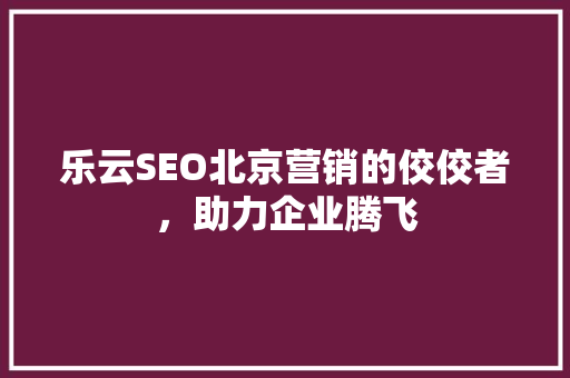 乐云SEO北京营销的佼佼者，助力企业腾飞