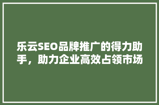 乐云SEO品牌推广的得力助手，助力企业高效占领市场高地