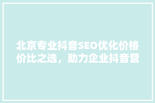 北京专业抖音SEO优化价格价比之选，助力企业抖音营销腾飞