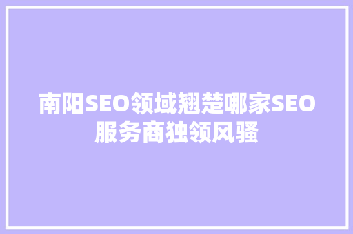 南阳SEO领域翘楚哪家SEO服务商独领风骚