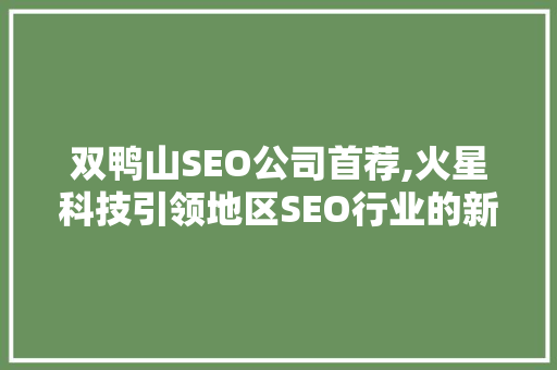 双鸭山SEO公司首荐,火星科技引领地区SEO行业的新标杆