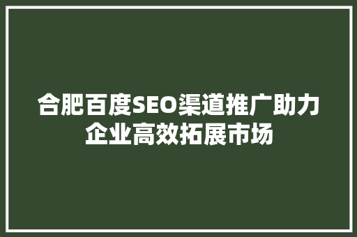 合肥百度SEO渠道推广助力企业高效拓展市场