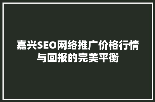 嘉兴SEO网络推广价格行情与回报的完美平衡