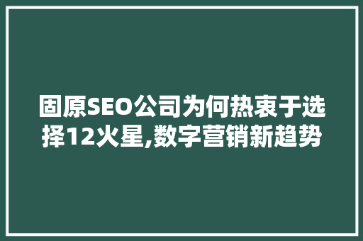 固原SEO公司为何热衷于选择12火星,数字营销新趋势